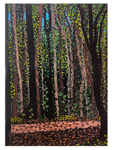 Load image into Gallery viewer, Pterocarpus Forest en Humacao, PR